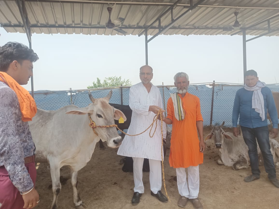Community Gau Seva activity