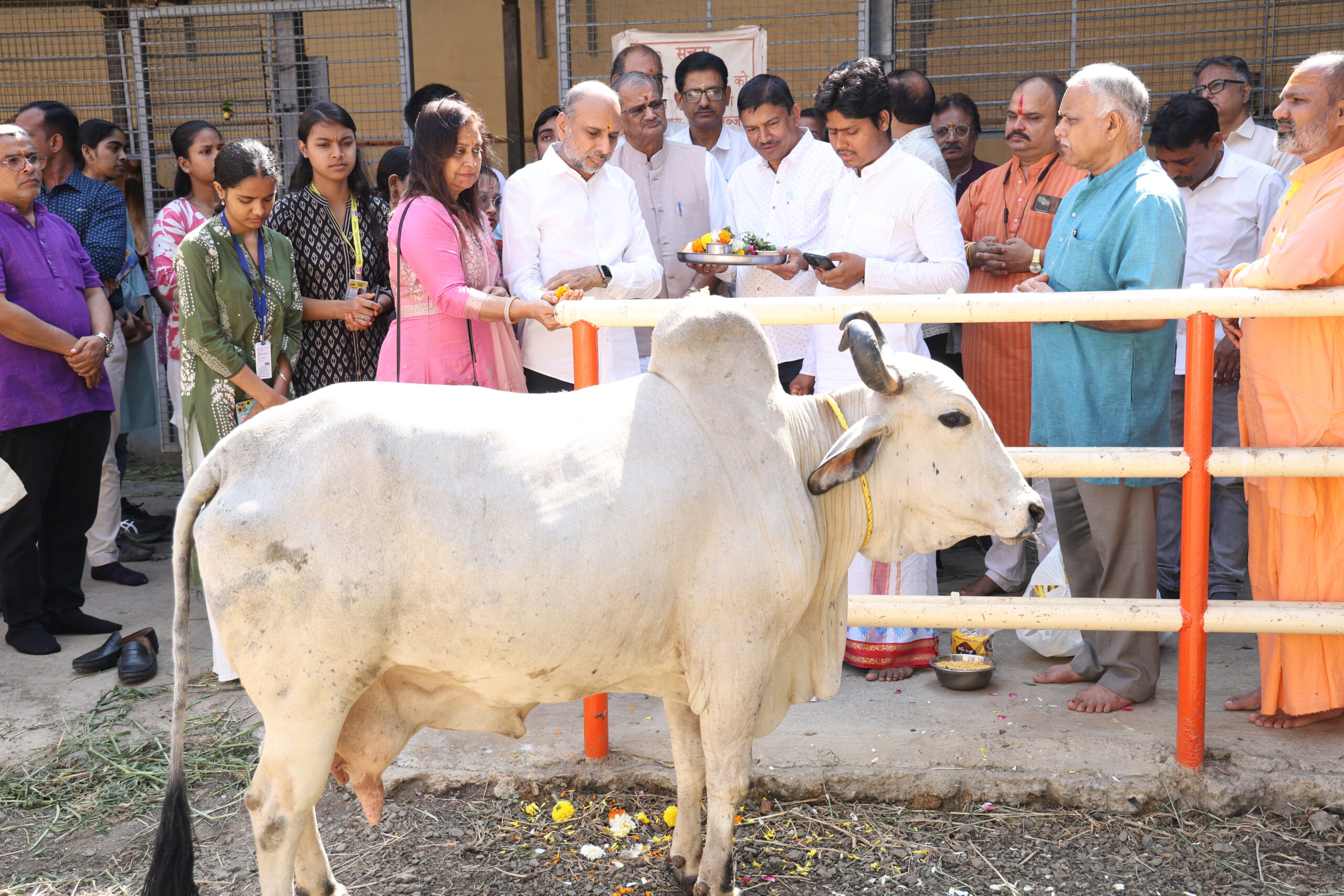 Gau Puja ceremony